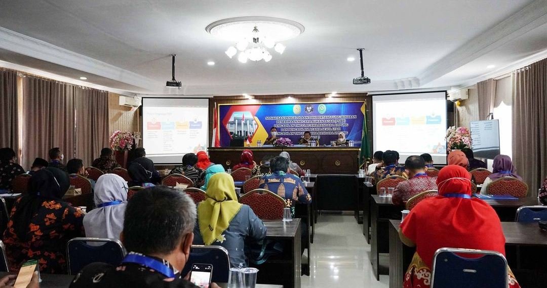 sosialisasi pnbp ketua 1